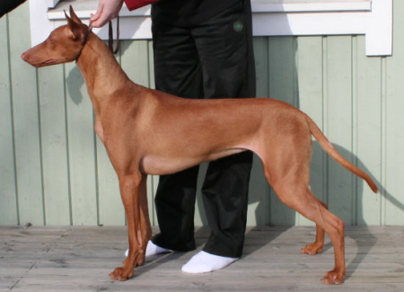 Tyyne April 2009 p3
