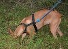 Tyyne tracking 3