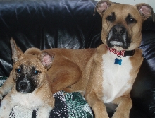 Max and Sasha