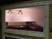 Water Monitor Cage