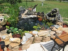 my first pond