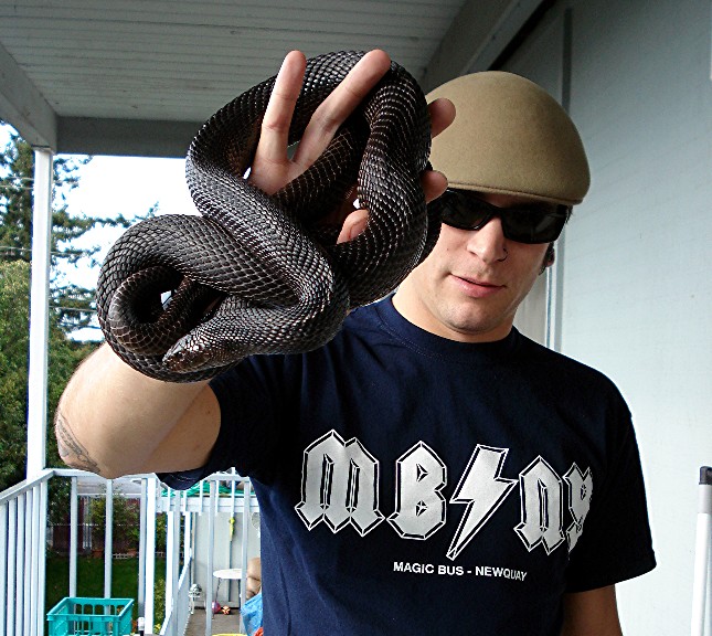 me and clyde