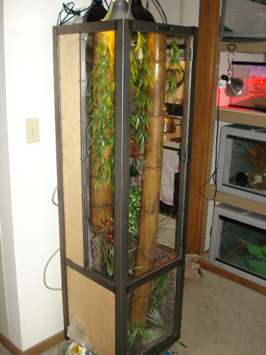 tokay cage