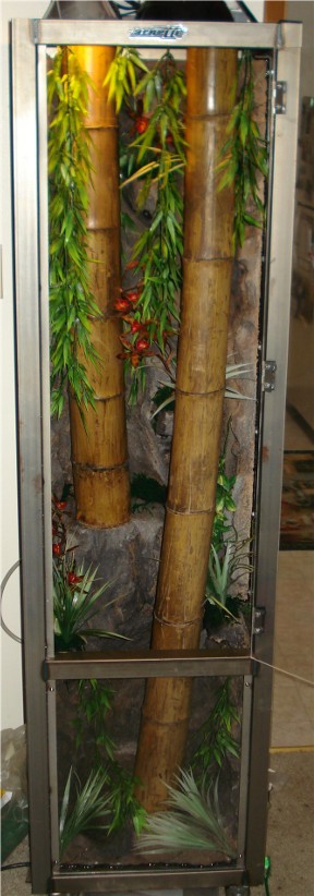 tokay cage