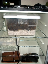 home made incubator