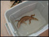bathtime