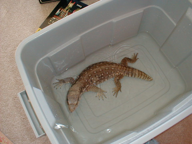 bathtime