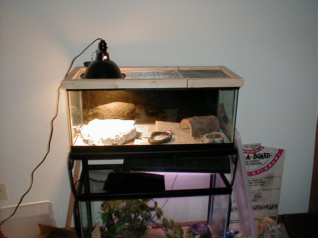 Setup for the group