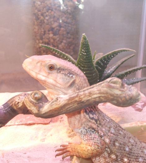 What A Model!
