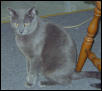 Timothy