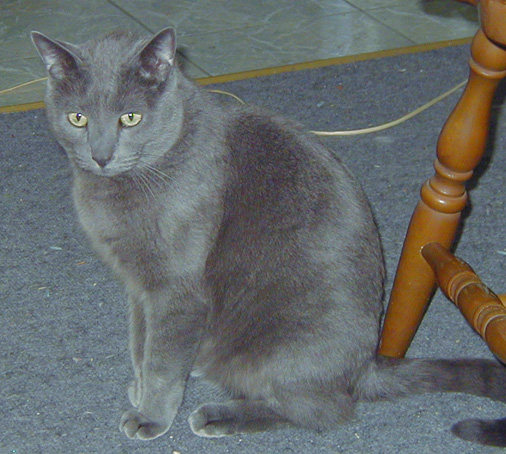 Timothy