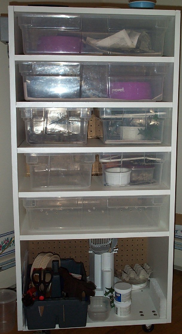 Full View of Rack
