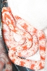 Another shot of a just shed hatchling