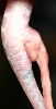 Up close and personal with the umbilical
