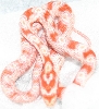First snake to shed