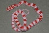 Snake 1 Pic 2