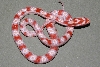 Snake 2 Pic 1