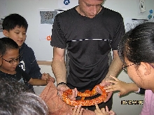 class 2