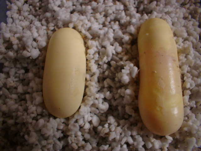 DK 2
