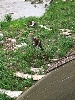 City herping 1