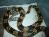 goini 1