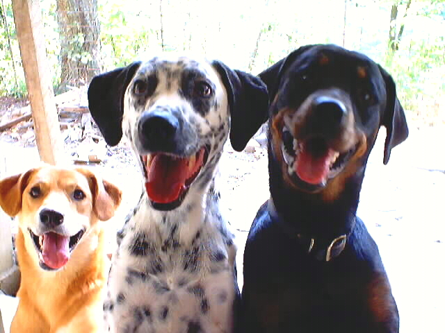 Three Stooges