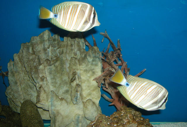 Saltwater Photos