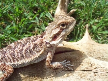 This is Keely