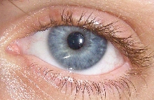 my eye