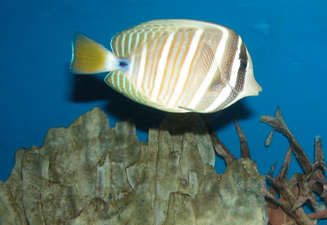 Saltwater Photos
