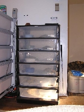 AP economy rack