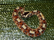 GABINO
