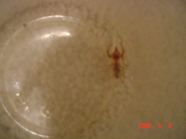 What is this???