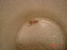 What is this???