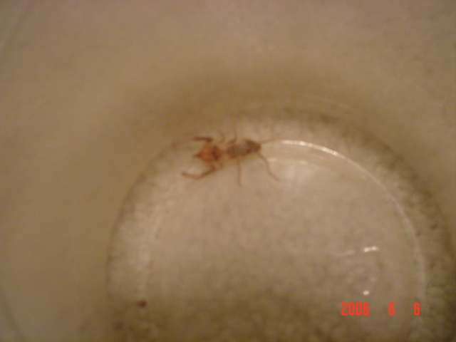What is this???