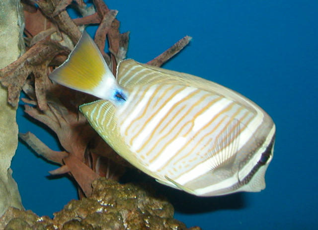 Saltwater Photos