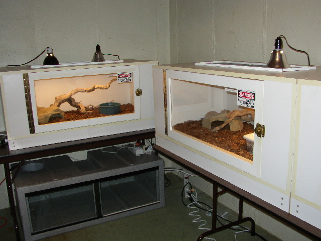 snake cages