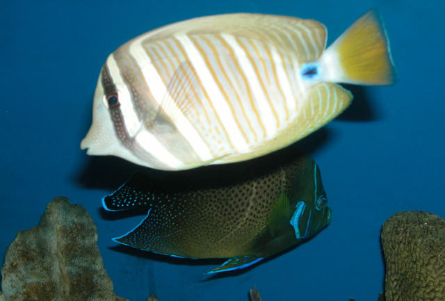 Saltwater Photos