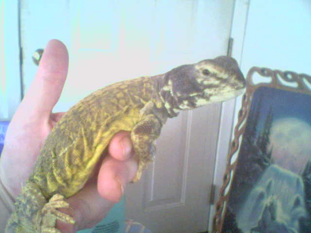 My baby