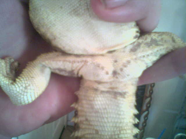 Male?female?