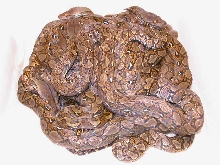 RETIC LITTER