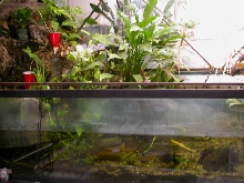 300 GALLON TERRARIUM