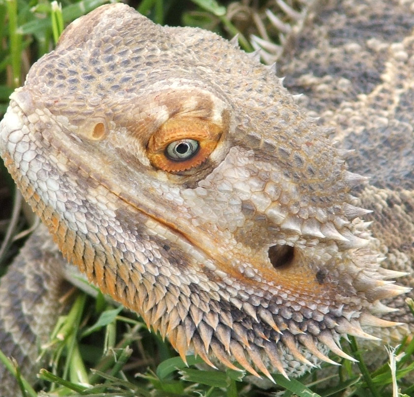 close up
