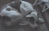 Summer Sleeping
