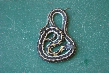 Black-Necked Garter