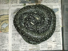 Diamond Python