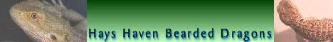 hayshaven banner