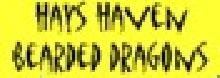 hhsmallbanner