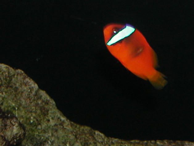 Saltwater Photos