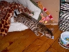 our baby rani